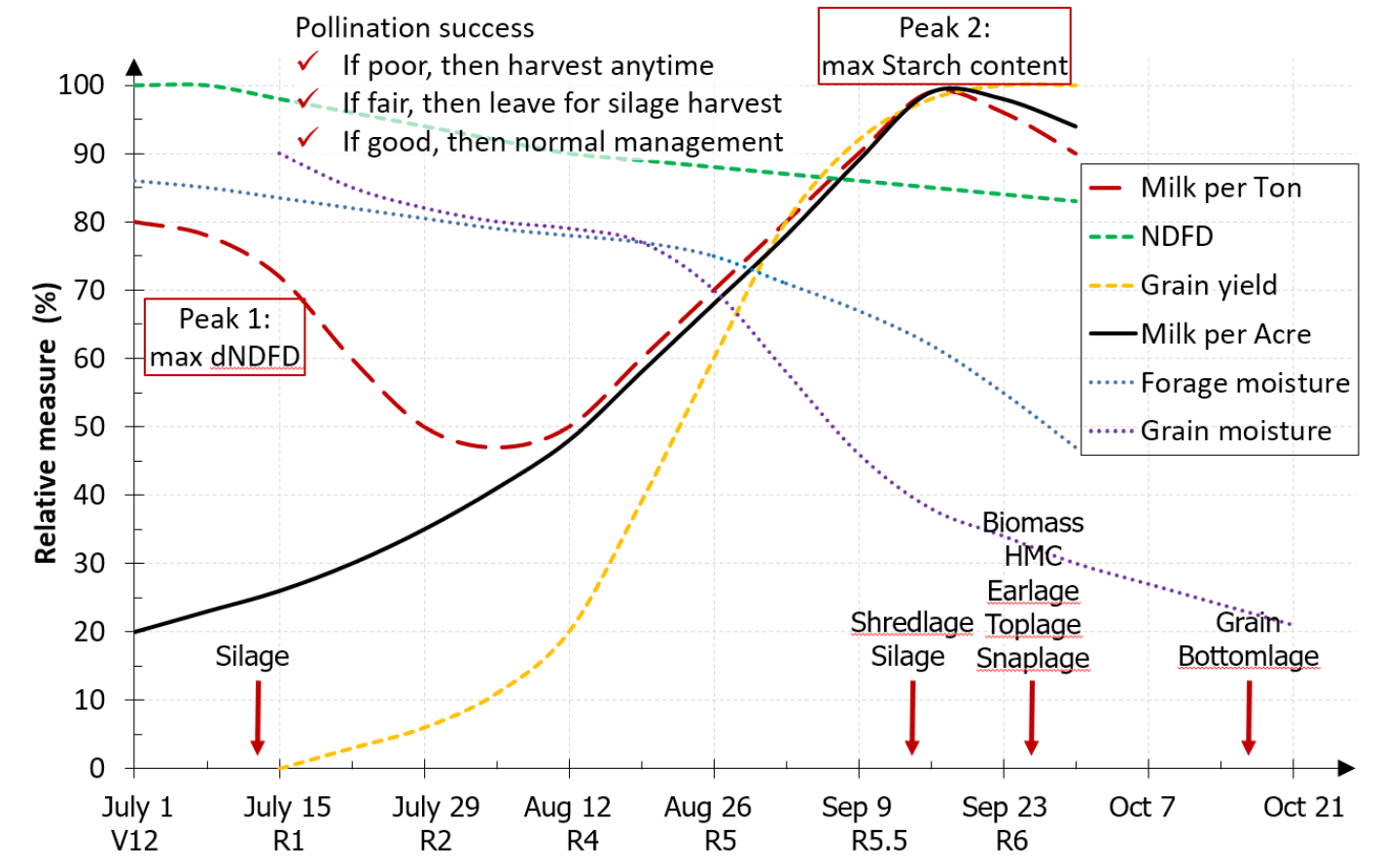 Immature corn graph